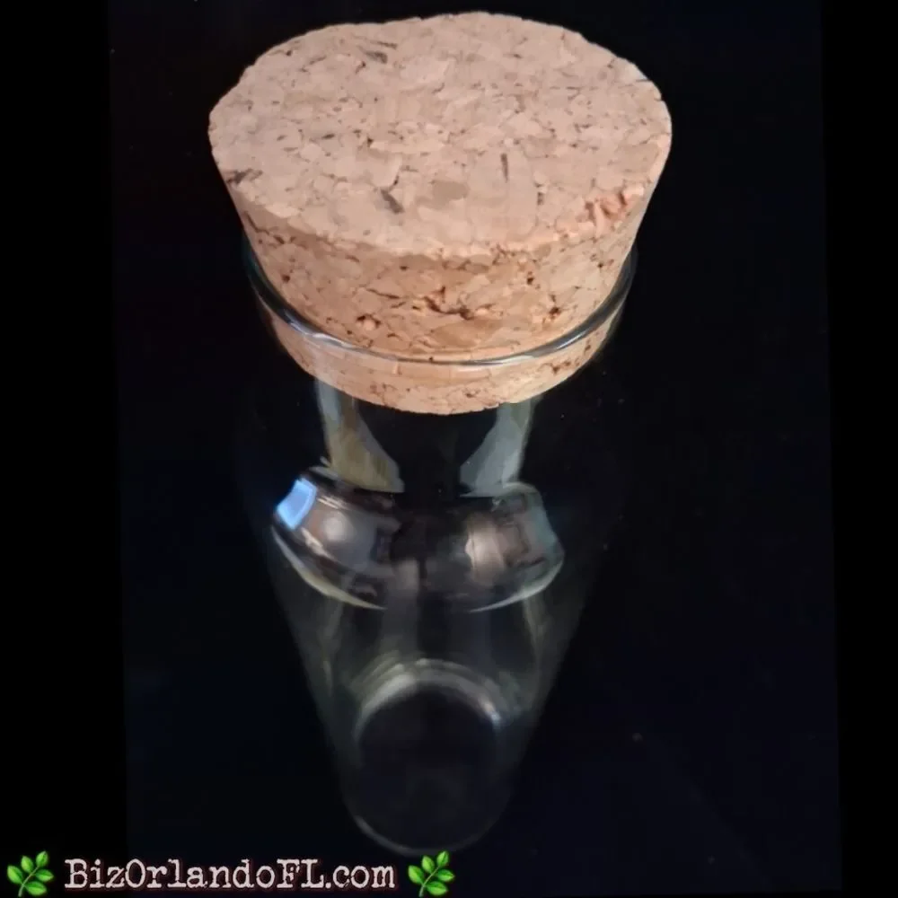 VINTAGE: Clear Tall Glass Cylinder Bottle Terrarium With Cork Stopper